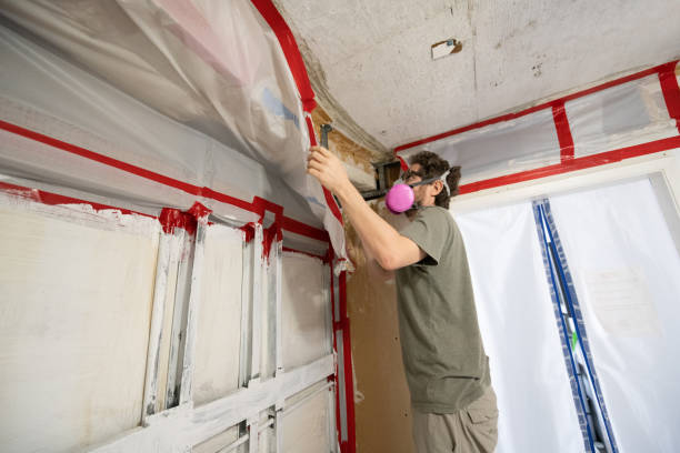 Best Mold Odor Removal Services  in Union Hill Novelty Hill, WA