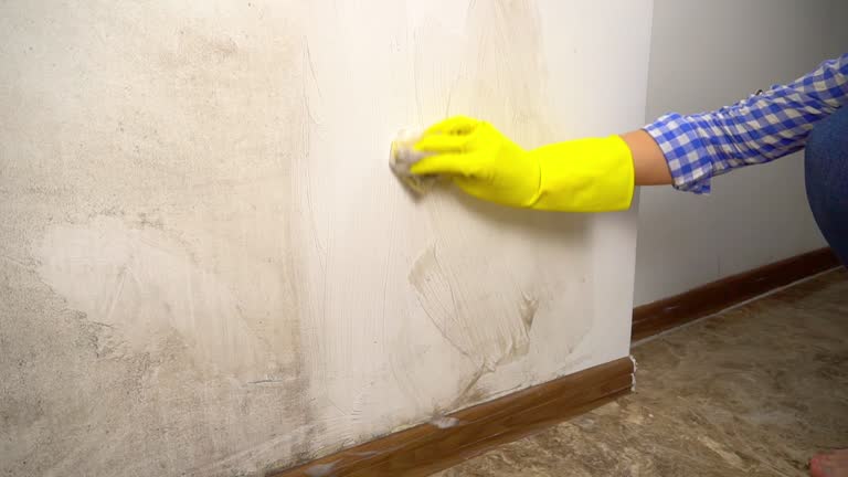 Mold Remediation for Vacation Homes